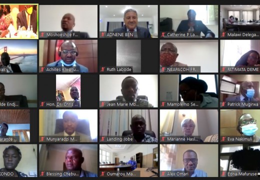 The 12th Network of African Parliamentary Committees of Health (NEAPACOH 2020) Meeting held virtually – 28 – 29 October 2020