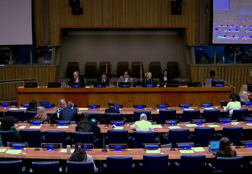 PPD Executive Director Calls for Catalytic Financing and South-South Cooperation at the 59th UN Commission on Population and Development