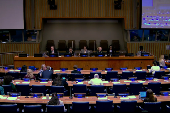 PPD Executive Director Calls for Catalytic Financing and South-South Cooperation at the 59th UN Commission on Population and Development